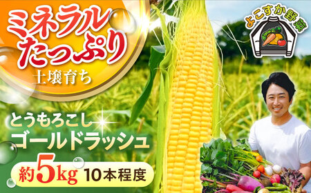[先行予約][数量限定]とうもろこし ゴールドラッシュ 下処理済み 10本程度 約5kg(7月〜8月)[鈴也ファーム][AKCE026]
