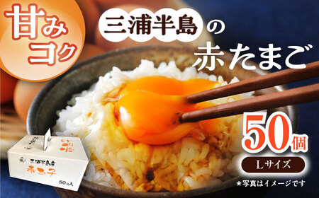 aɂOYYԂ܂@50@y{ꏤHc@ĂȂMtgǁi|[g[jz[AKET005]