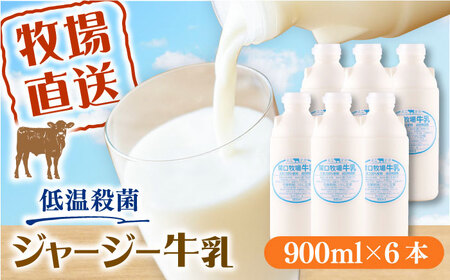 低温殺菌牛乳 ジャージー牛乳 牛乳 人気 6本セット [よこすか関口牧場][AKGN002]