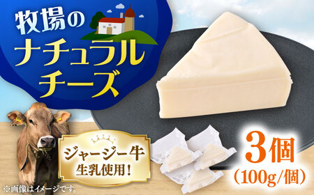 チーズ ナチュラルチーズ 3個セット [よこすか関口牧場][AKGN010]
