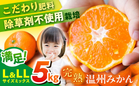 【先行予約】【数量限定】温州みかん　Lサイズ＆LLサイズ 5kg　　【志村農園】[AKGH008]