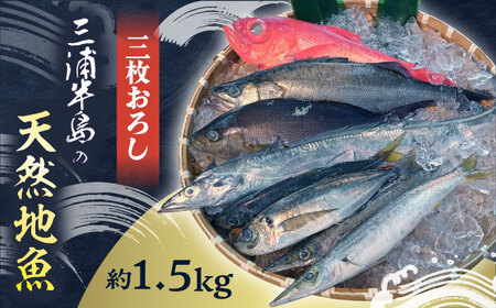 hgp OY̓VRn O낵 1.5kg hg  ς ς O낵@y䐅YЁz[AKAJ028]