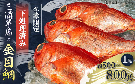 【先行予約】【冬季限定】下ごしらえ済 キンメダイ 約500〜800g 鮮魚 処理済み 下処理済み【長井水産株式会社】[AKAJ029]