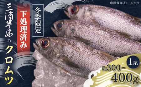 ys\zy~Gz炦 Nc 300?400g@1 N ς ς݁y䐅YЁz[AKAJ030]