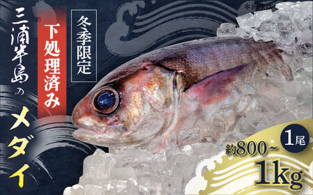 【先行予約】【冬季限定】下ごしらえ済 メダイ 約800g〜1kg 鮮魚 処理済み 下処理済み 【長井水産株式会社】[AKAJ031]