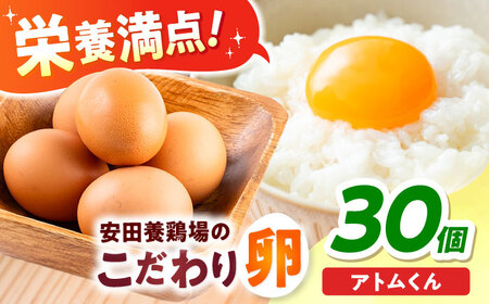 安田養鶏場のたまごアトムくん 30個入たまご [安田養鶏場][AKHN002]