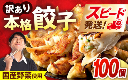 訳あり 本格餃子 100個餃子[AKHQ002] 