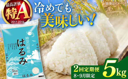 [2025年8月・9月発送][2回定期便]令和6年産 お米 はるみ 5kg[株式会社ヨコショク][AKGC003]