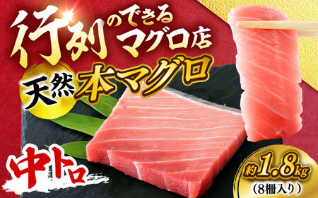 VR {܂ g v1.8kg i8jy{ꏤHc ĂȂMtgǁi{܂뒼 {{Xjz[AKAK102]