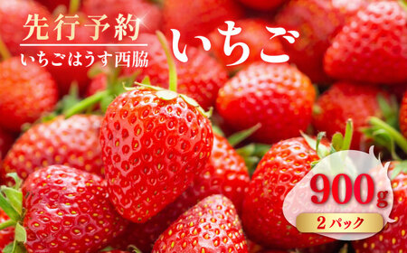 [先行予約][数量限定100セット] いちご 2パック 約900g [いちごはうす西脇][AKHO002]