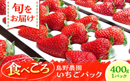 �y��s�\��z�y���ʌ���40�Z�b�g�z����_���̂������i400g×1�p�b�N�j �g�ق��� �ق������ �X�^�[�i�C�g �y����_���z[AKHV001]