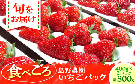 �y��s�\��z�y���ʌ���20�Z�b�g�z����_���̂������i400g×2�p�b�N�j �g�ق��� �ق������ �X�^�[�i�C�g �y����_���z[AKHV002]