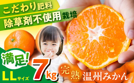 ���B�݂��� LL�T�C�Y ��7kg �Ëv��l�݂��� ���� �~�J�� �ʕ� ���k �t���[�c ���{�� �݂��� �_���݂��� ���B�݂��� ���B�~�J�� �y�u���_���z[AKGH004-2]