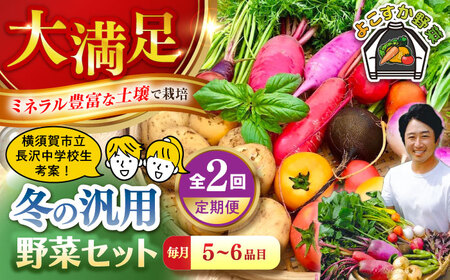 [先行予約][全2回定期便]冬の汎用野菜セット(5〜6品目)冬(12月〜1月)[鈴也ファーム][AKCE027]