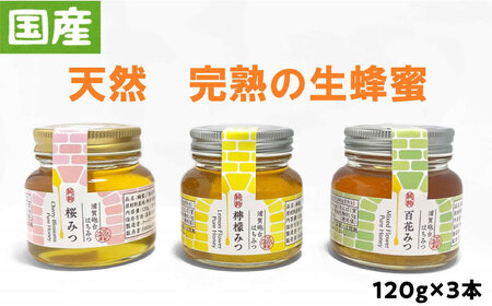 浦賀砲台蜂蜜 3本入り 国産 日本産 はちみつ 非加熱 無添加 天然 純粋 完熟 希少[2024年9月中旬より順次配送]