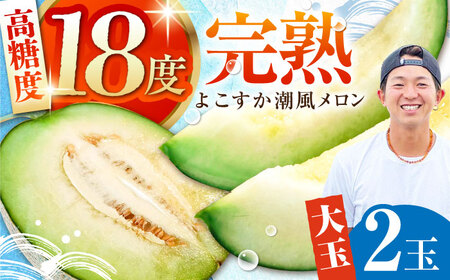 [先行予約][数量限定]よこすか潮風メロン 大玉4L 2玉セット 計約3kg めろん 果物 フルーツ くだもの メロン よこすか 横須賀 潮風 くるめ 井上農園 産地直送 こだわり ネット 贈答 ギフト 希少 2玉 大玉 秀品 白 上級 糖度 ギフト箱入り 食品 果実 産地限定 数量限定 贈答用 [井上農園] [AKDJ001]