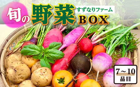 すずなり採れたて野菜BOX(夏野菜セット) 80サイズ 横須賀市 よこすか野菜[野菜 旬 サラダ セット 採れたて おまかせ 新鮮 直送]