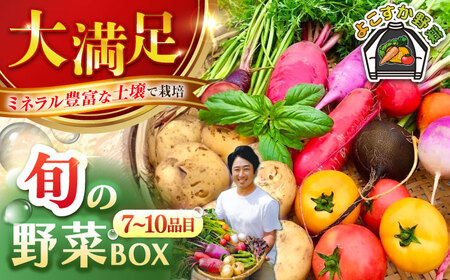 [先行予約]すずなり採れたて野菜BOX(7〜10品目)野菜セット 詰め合わせ 季節野菜 やさい 産地直送 旬 新鮮[鈴也ファーム] [AKCE003]