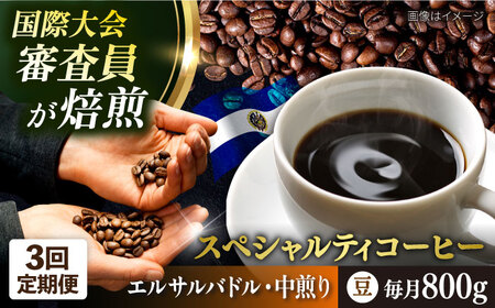 [全3回定期便]コーヒー豆 自家焙煎 中煎り エルサルバドル 200g×4 TSUKIKOYA COFFEE ROASTER ツキコヤ 珈琲 こだわり 横須賀[株式会社RUINS] [AKAD028]