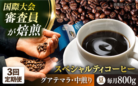 [全3回定期便]コーヒー豆 自家焙煎 中煎り グアテマラ 200g×4 TSUKIKOYA COFFEE ROASTER ツキコヤ 珈琲 こだわり 横須賀[株式会社RUINS] [AKAD013]