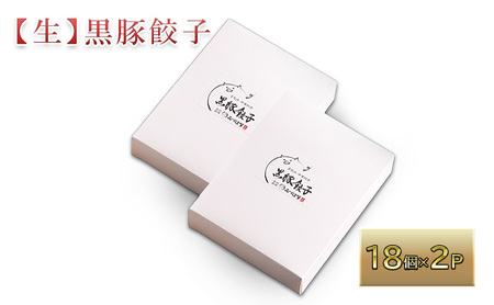 鹿児島県産黒豚「黒の匠」100%使用 手作り黒豚入り生餃子(18個×2P)