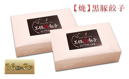鹿児島県産黒豚「黒の匠」100%使用 手作り黒豚入り焼餃子(16個×2P)
