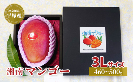 アップル マンゴー 3Lサイズ アーウィン種 湘南 平塚