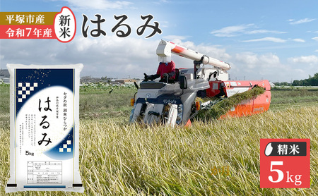 『令和7年産新米』 (株)平塚中央ライスセンターが自社で苗から育てた はるみ5kg 精米 過去2回 特A獲得