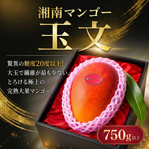 湘南マンゴー 玉文 750g以上 先行予約 マンゴー