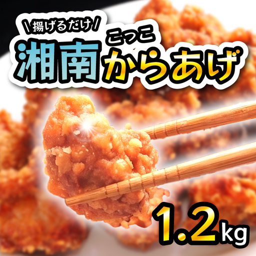 鶏 唐揚げ 1.2kg 生 唐揚げ 専門店