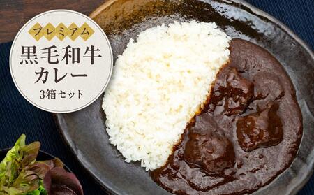 プレミアム黒毛和牛 カレー(3箱セット)鎌倉 河野牛豚肉店 | カレー レトルト レトルトカレー ビーフ ビーフカレー 黒毛和牛 スパイス 3箱 保存食 非常食 肉 お肉 にく 食品 人気 おすすめ 送料無料 ギフト 鎌倉 神奈川