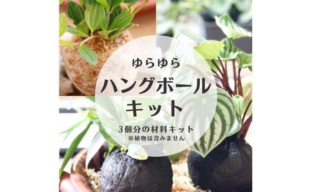 360度楽しめる!吊るせる観葉植物「ゆらゆらハングボールキット」