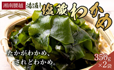 [湘南腰越名産!]湯通し「塩蔵わかめ」350g×2袋