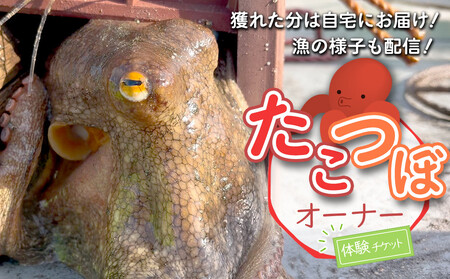 [獲れた分は自宅にお届け!]たこつぼオーナー体験チケット