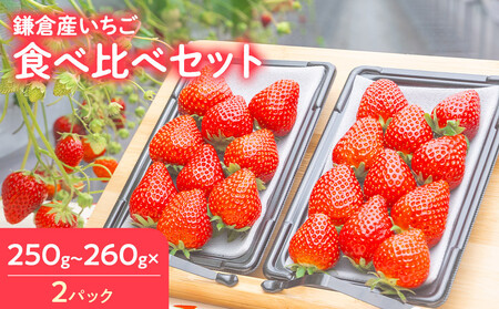 [期間限定]鎌倉産いちご 2パック食べ比べセット(250g〜260g×2パック)