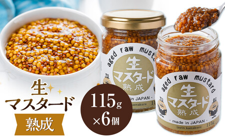熟成 生マスタード 6個セット