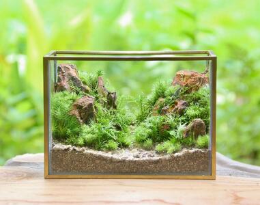 [苔テラリウム・コケリウム]山岳の風景 メタルフレーム L | インテリア 苔テラリウム 自然 アート 人気 おすすめ 観葉植物 癒し ギフト プレゼント インテリア雑貨 送料無料 神奈川 鎌倉