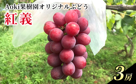 ぶどう 当園開発の赤ブドウ「紅義」3房 ※品種登録済み ブドウ 葡萄 種無し 赤ブドウ くだもの 果物 フルーツ 旬のフルーツ 高糖度 湘南 藤沢市 神奈川県