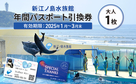 チケット 神奈川 [新江ノ島水族館]年間パスポート引換券(大人1枚) 有効期間2025年1月〜3月末まで 水族館 パスポート 入場券 江ノ島 藤沢市 神奈川県 プレゼント ギフト