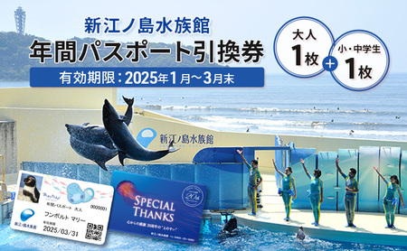 チケット 神奈川 [新江ノ島水族館]年間パスポート引換券(大人1枚+小・中学生1枚) 有効期間2025年1月〜3月末まで 水族館 パスポート 入場券 江ノ島 藤沢市 神奈川県 プレゼント ギフト