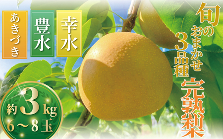  Ȃ iV 3kg 6ʂ8ʁy2026N8{z ʕ t[c nasi { VN n s\ ʌ Yn _ƒ K L Â v[g Mtg 蕨 L@엿 