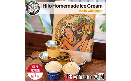 [定期便 3回 隔月] Hilo Homemade Ice Cream プレミアムアイスクリーム 6個 ヒロホームメイドアイス 手づくり 鵠沼海岸