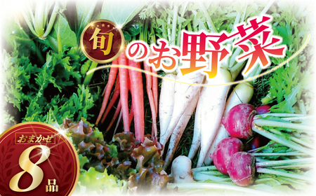 訳あり 旬のお野菜セット (種類おまかせ)