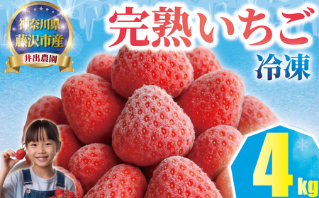 冷凍いちご4kg いちご いちご いちご いちご 冷凍いちご 冷凍いちご