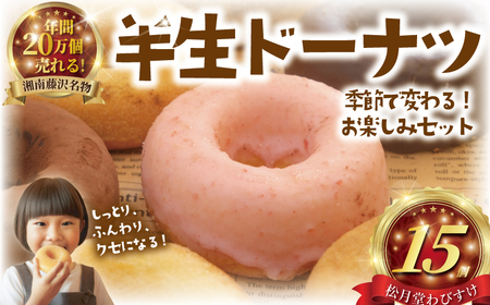 ドーナツ 半生ドーナツ 15個 湘南藤沢名物 お味おまかせ