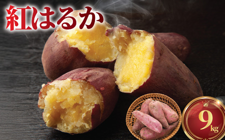 さつまいも 9kg 紅はるか 10月上旬発送 訳あり