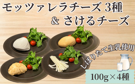 モッツァレラ 3種+ チギチー チーズ 4種セット チーズ チーズ