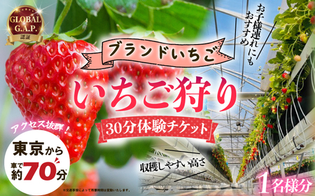 いちご狩り 体験チケット いちご狩りいちご狩りいちご狩りいちご狩り