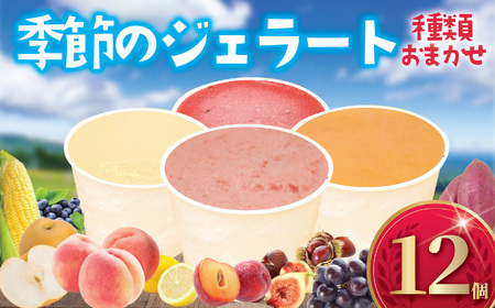 ジェラート 12個 4種類 おまかせ 10月出荷 [ジェラート]