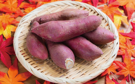 󂠂 ܂ g͂邩 10kg